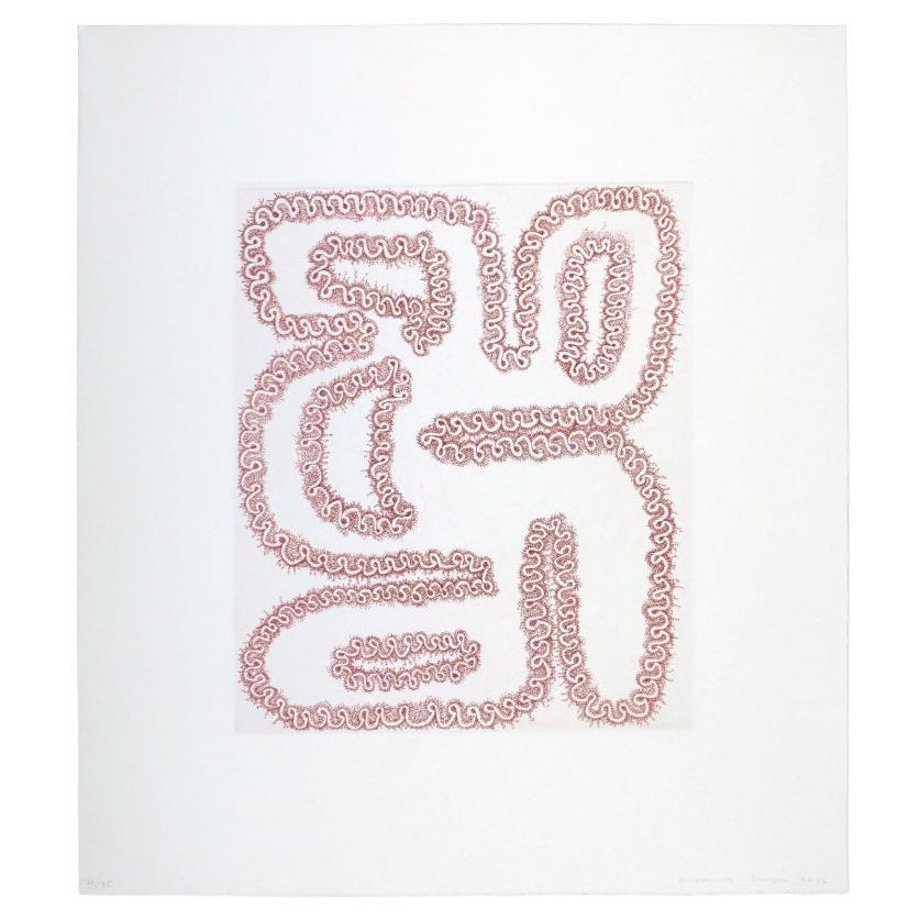 James Siena Etching 'Roda Tergiversada Amb Quatre Forats', 2011 For Sale