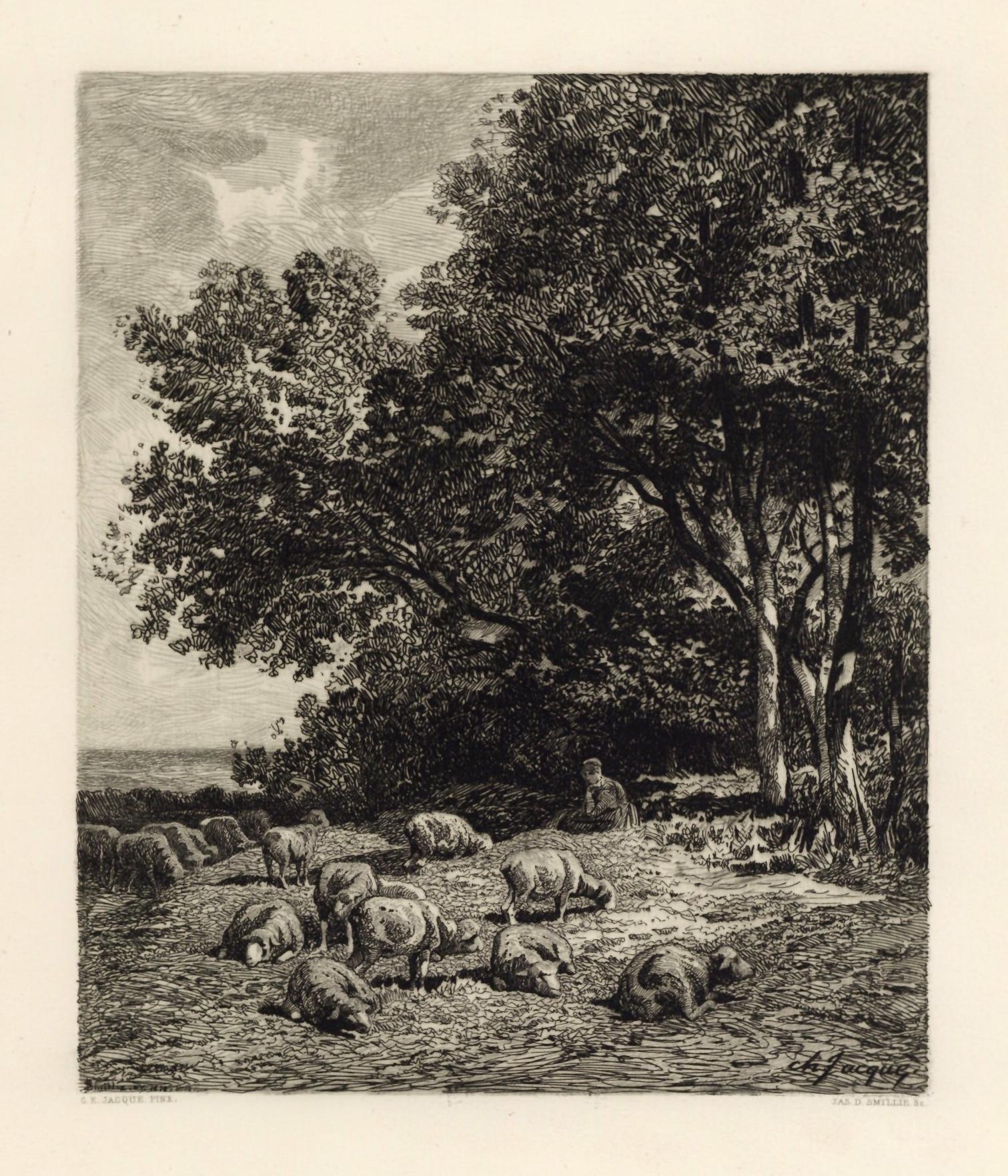 "Landscape with Sheep" etching - Print by James Smillie