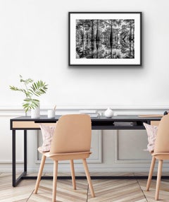 Bayou Dreaming by James Sparshatt.  34” x 24” Archival print. Wooden frame