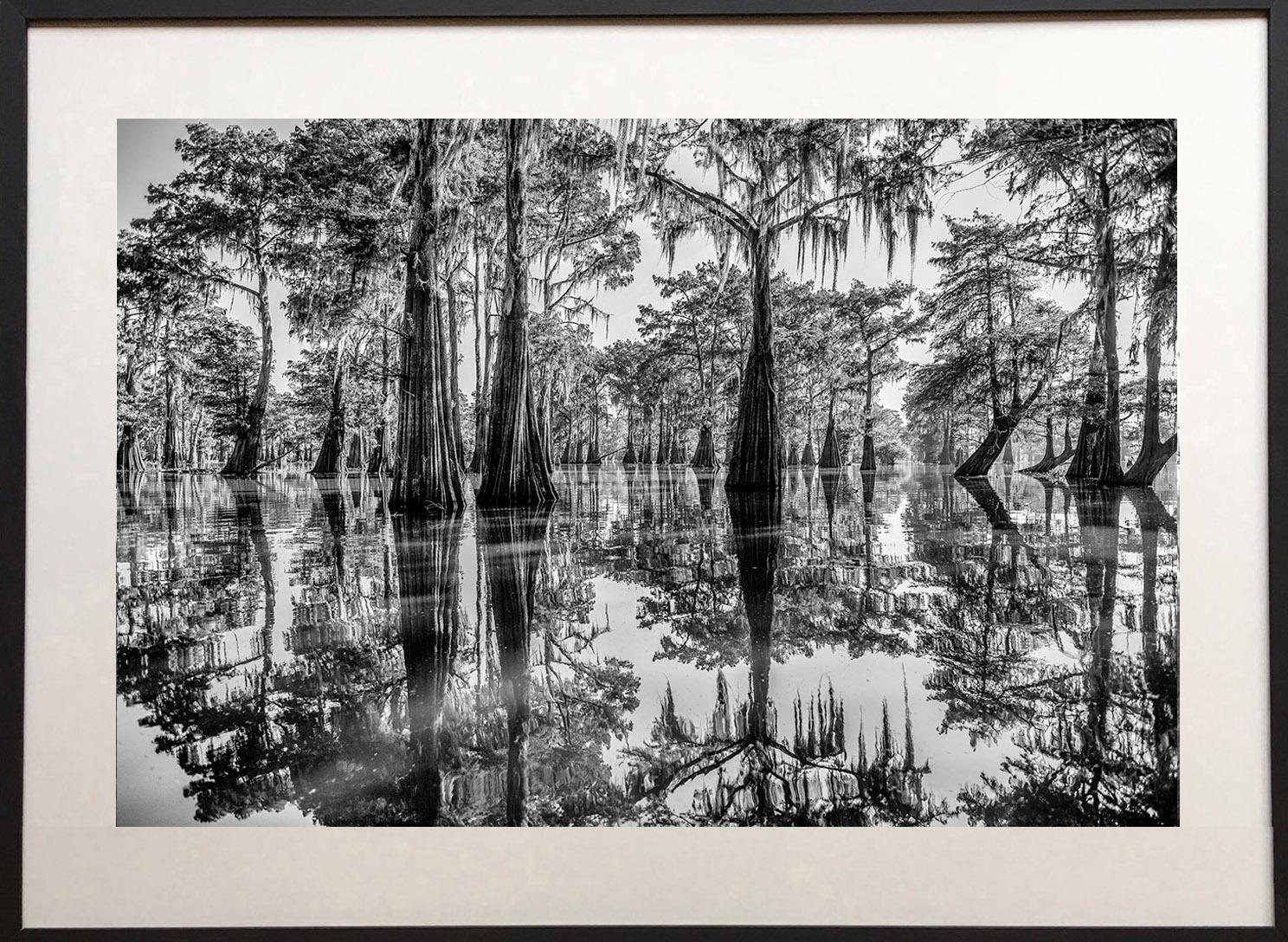 Justo después del amanecer, en el pantano Henderson de Luisiana, con la única compañía de los caimanes y las cigüeñas, el musgo colgante y los cipreses primigenios en tranquila magnificencia.

Los paisajes en blanco y negro de James Sparshatt tienen