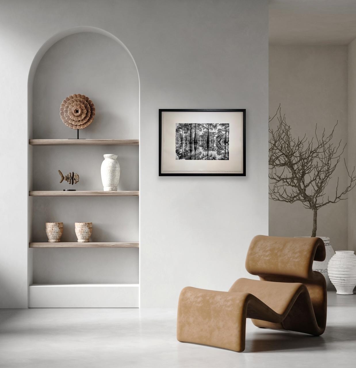 Bayou Dreaming von James Sparshatt.  Palladium Platin BW Druck eines Schwamms im Angebot 2