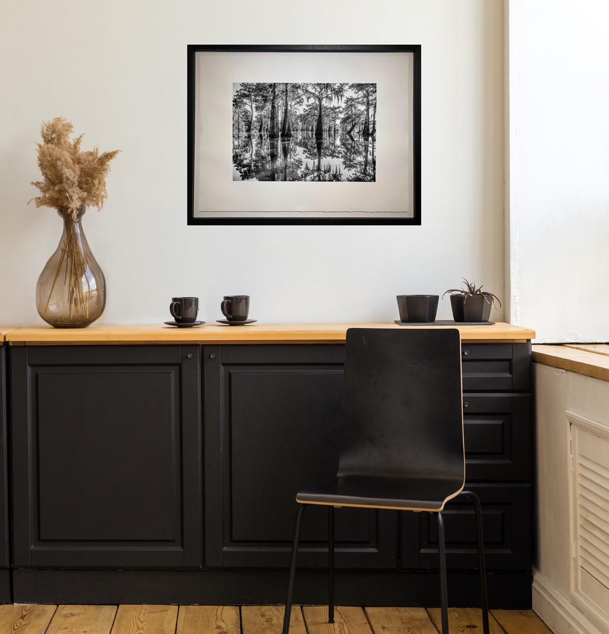 Bayou Dreaming von James Sparshatt.  Palladium Platin BW Druck eines Schwamms im Angebot 3
