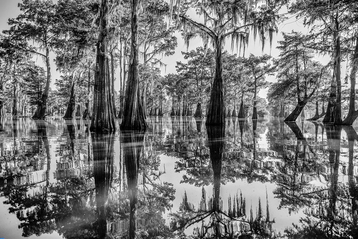 Just after dawn on the Henderson swamp in Louisiana, with only alligators and storks for company, the hanging moss and primeval cypress trees in calm magnificence.

James Sparshatt’s black and white landscapes have an ethereal beauty.  They are