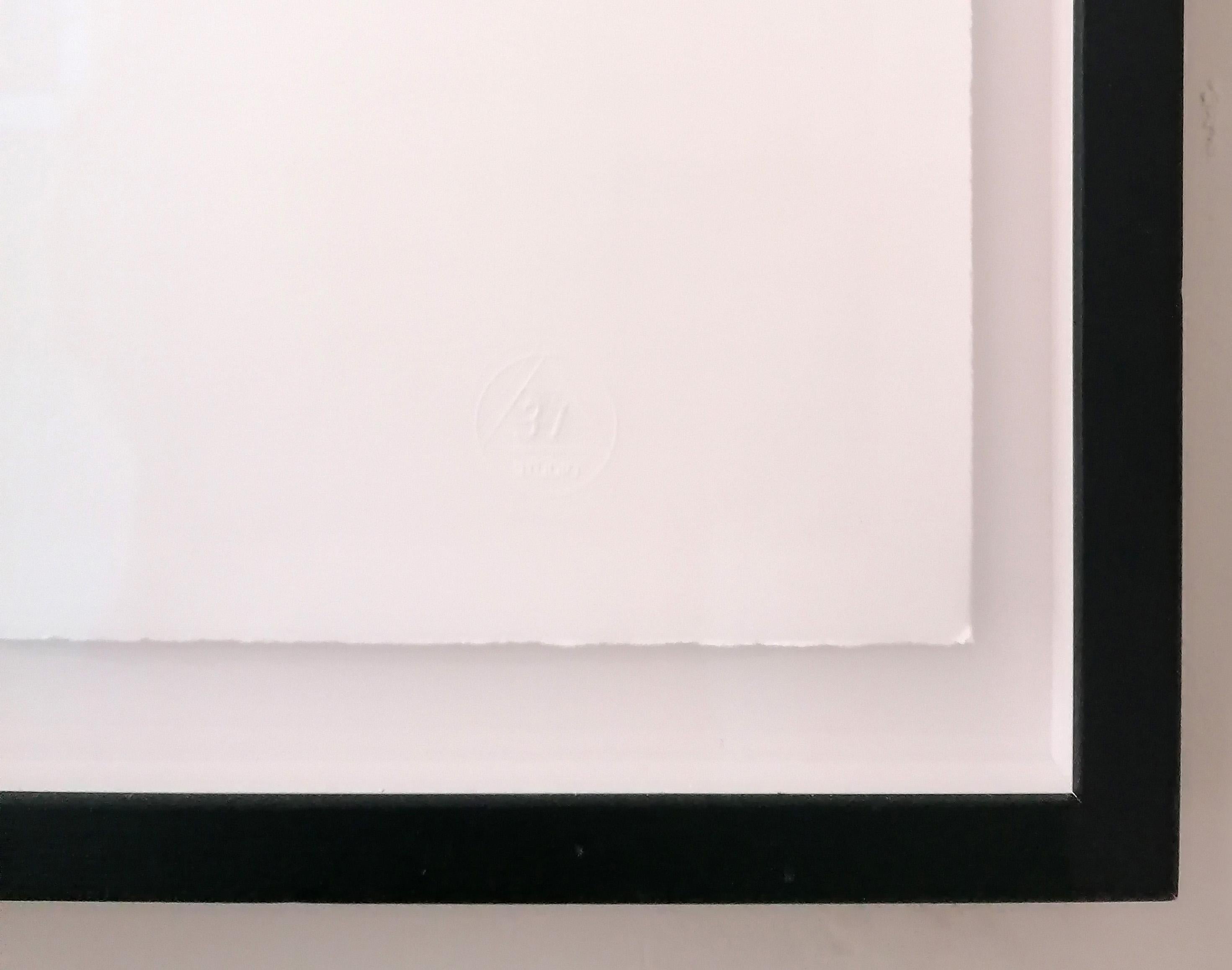 El Orgullo by James Sparshatt - Framed Palladium Platinum Photograph For Sale 3