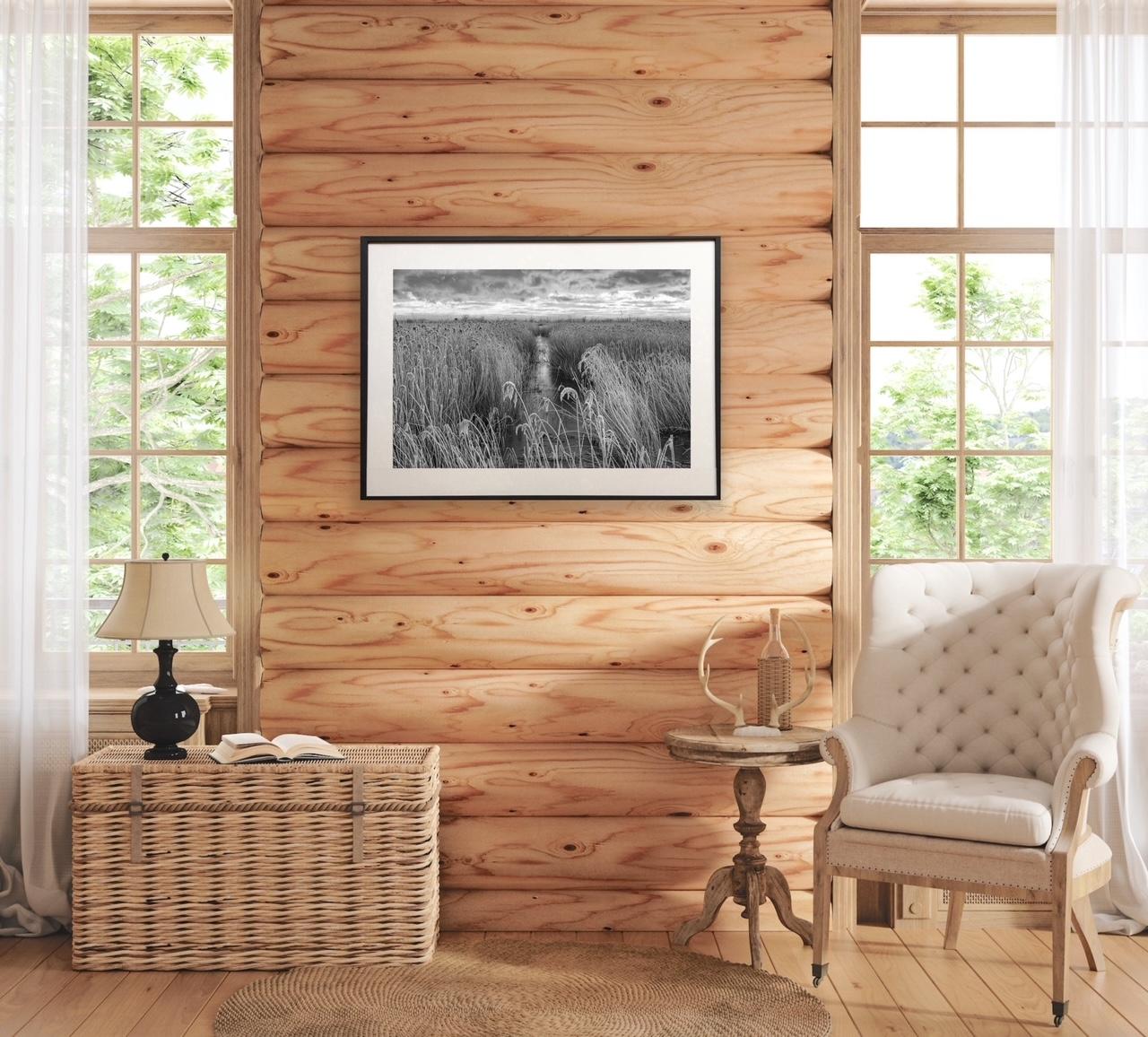 Frosted reeds by James Sparshatt.  Framed BW photo of frozen marsh reeds at dawn en venta 3