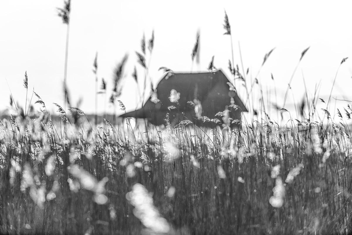 House on the Marsh von James Sparshatt.  Gerahmtes BW-Foto einer einsamen Hütte 1