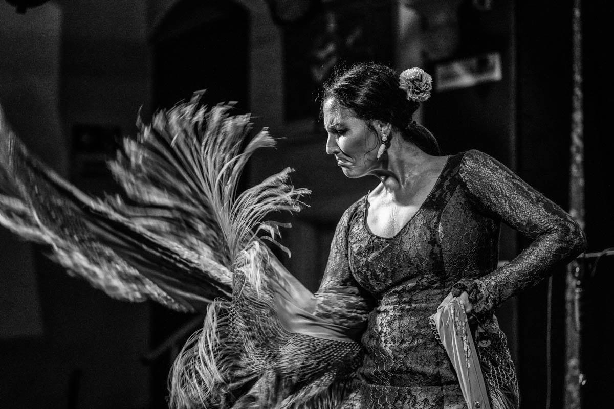 La Furia del Mantón. Photographie flamenco en noir et blanc de James Sparshatt  en vente 1