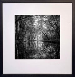 Serenity At Dawn by James Sparshatt. Framed Archival Print
