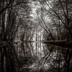 Serenity At Dawn de James Sparshatt. Impression d'archives encadrée