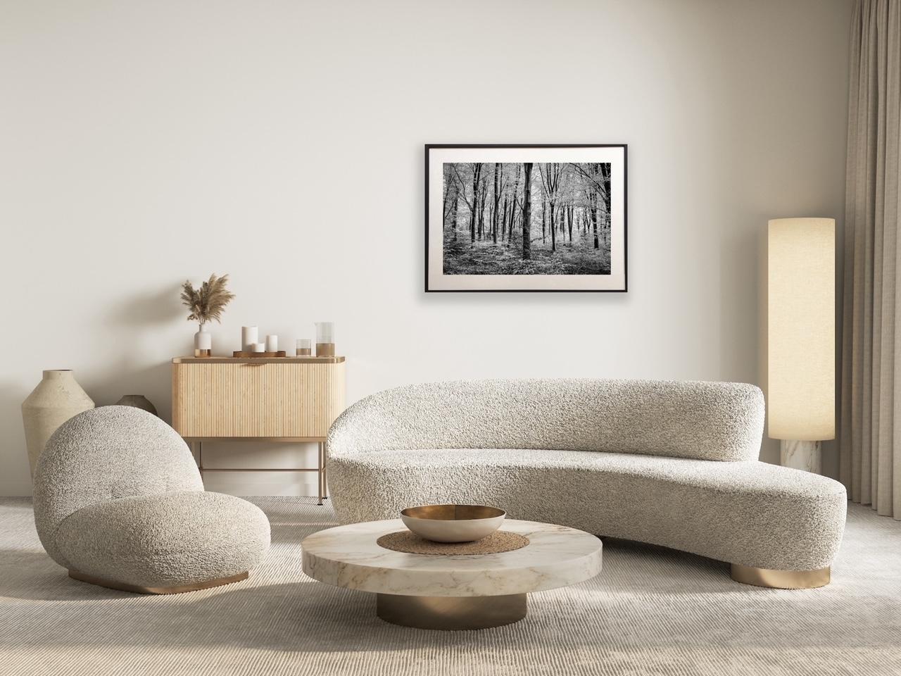 Spring inmitten der Buche von James Sparshatt.  Gerahmtes BW-Foto von Wäldern im Angebot 2