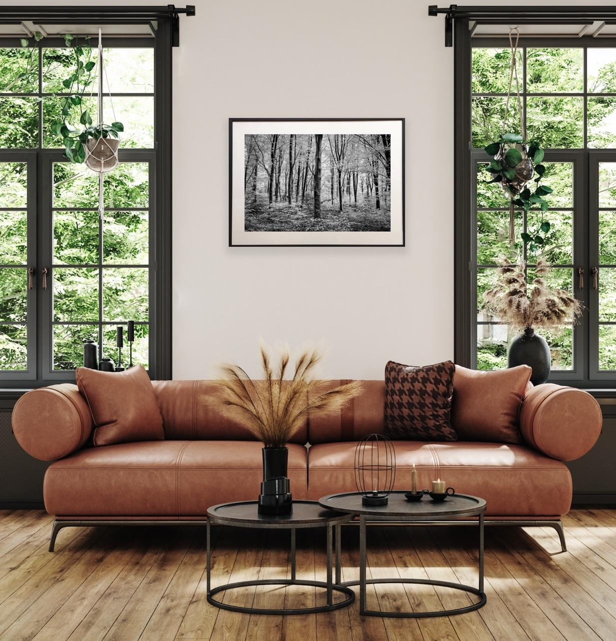 Spring inmitten der Buche von James Sparshatt.  Gerahmtes BW-Foto von Wäldern im Angebot 3