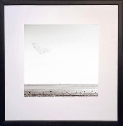 Il gregge e il pescatore di James Sparshatt.  Stampa d'archivio con cornice, 2017