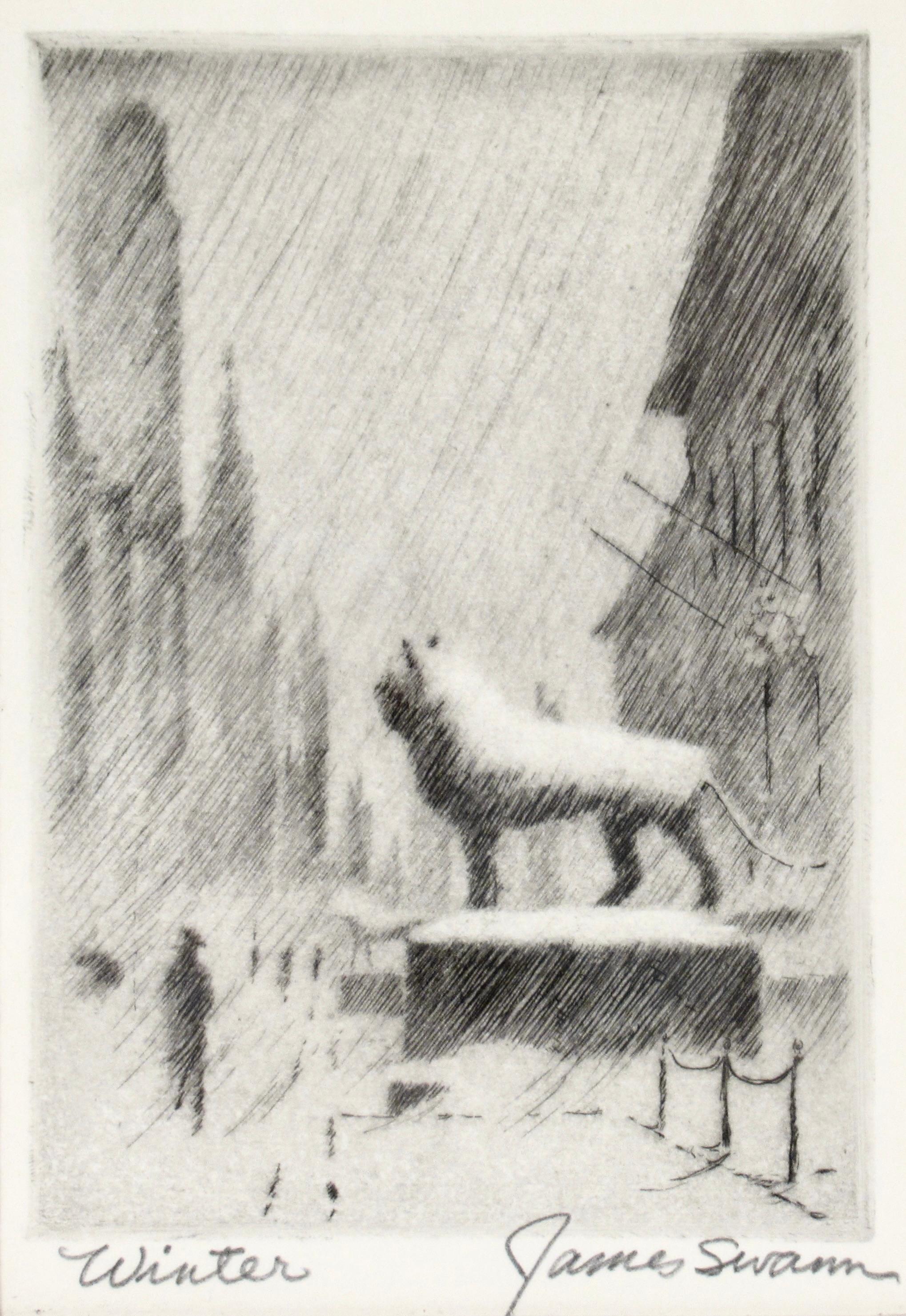 Winter (Lion at the art institute of Chicago, Chicago) - Print by James Swann