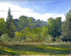 Vicino alla casa dei Baker - Pittura originale ad olio di un paesaggio plein air