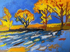 Thunder Basin
