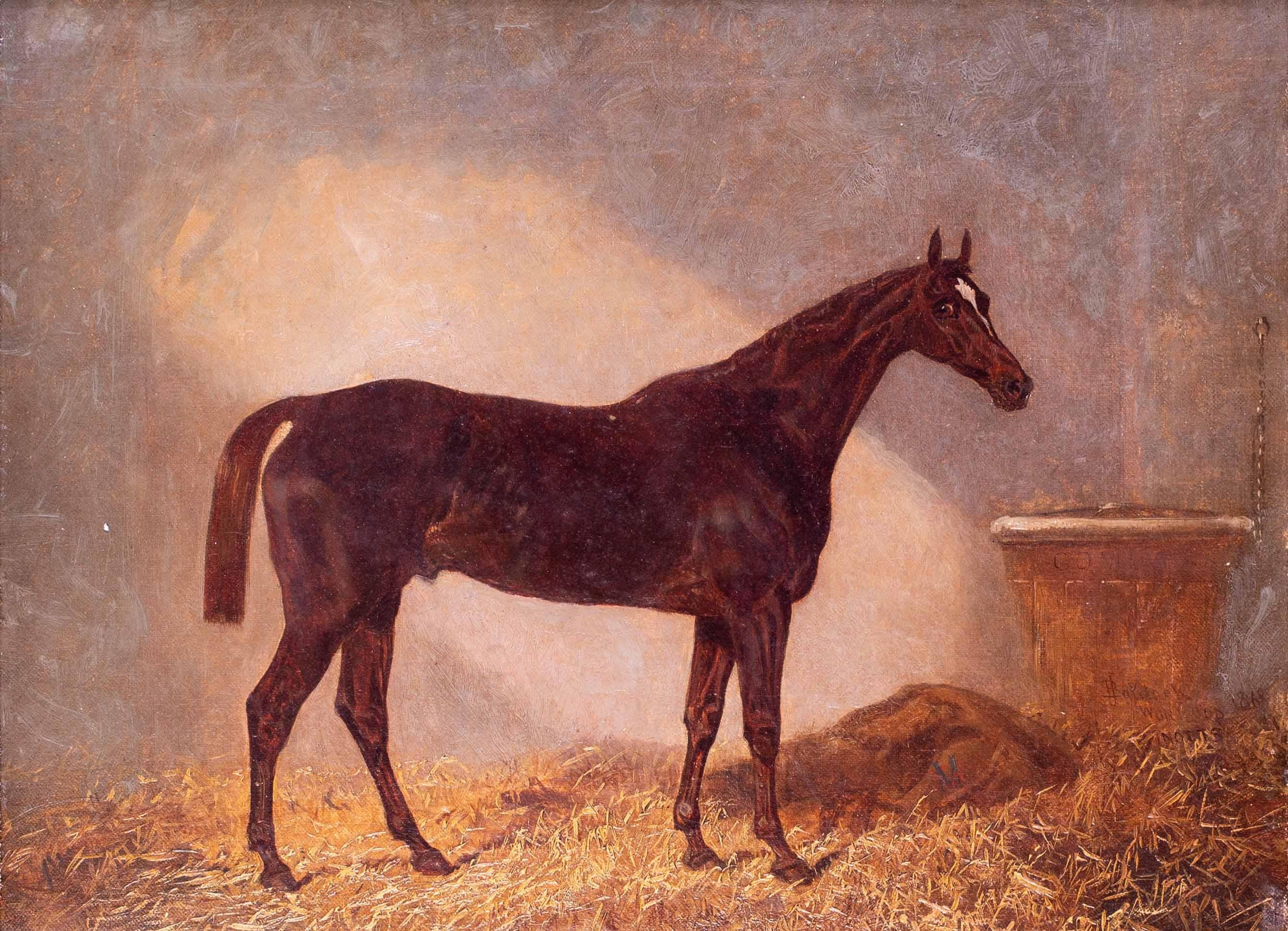 British 19th Century equestrian oil painting of Comus, racehorse winner - Painting by James Walsham Baldock