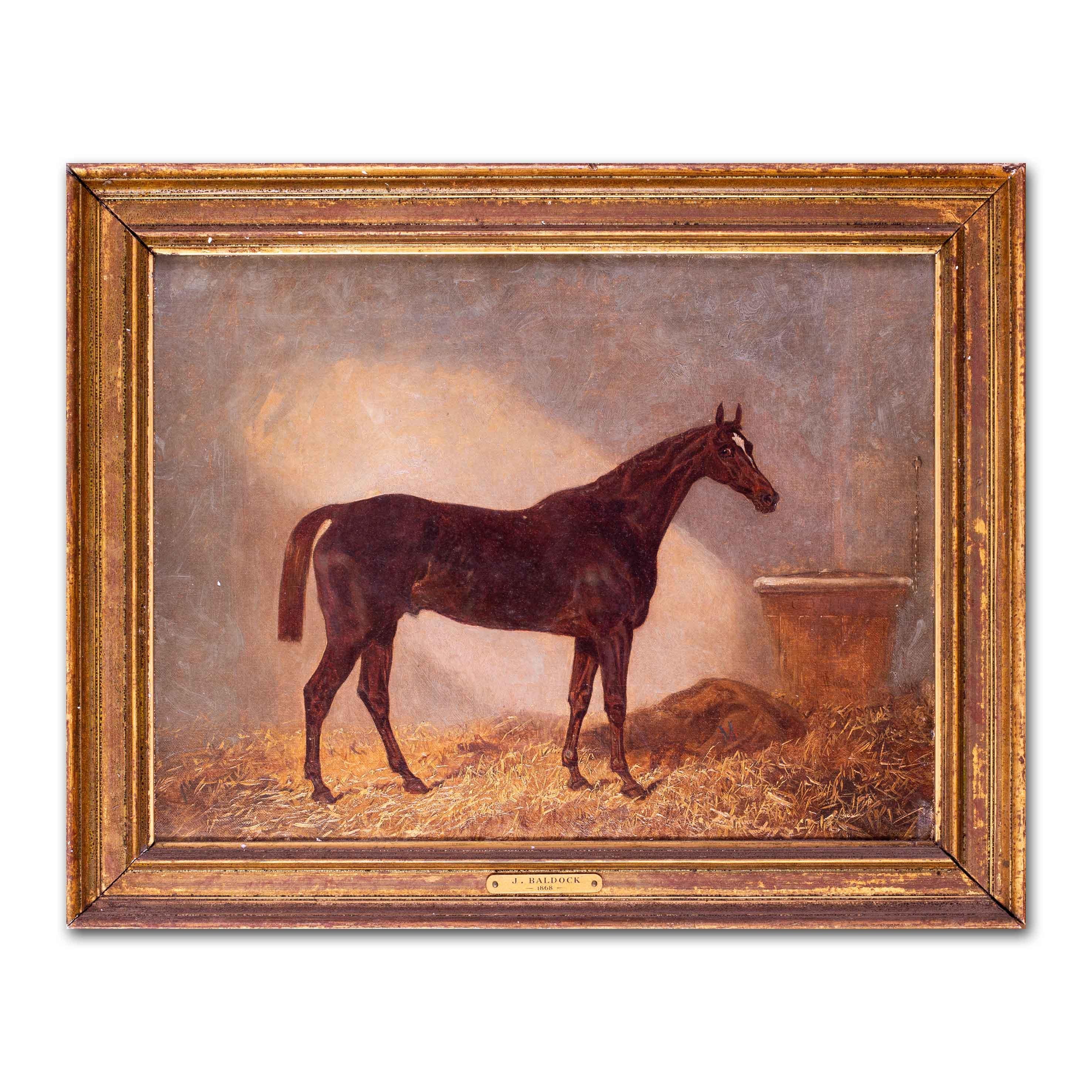 British 19th Century equestrian oil painting of Comus, racehorse winner - Brown Animal Painting by James Walsham Baldock