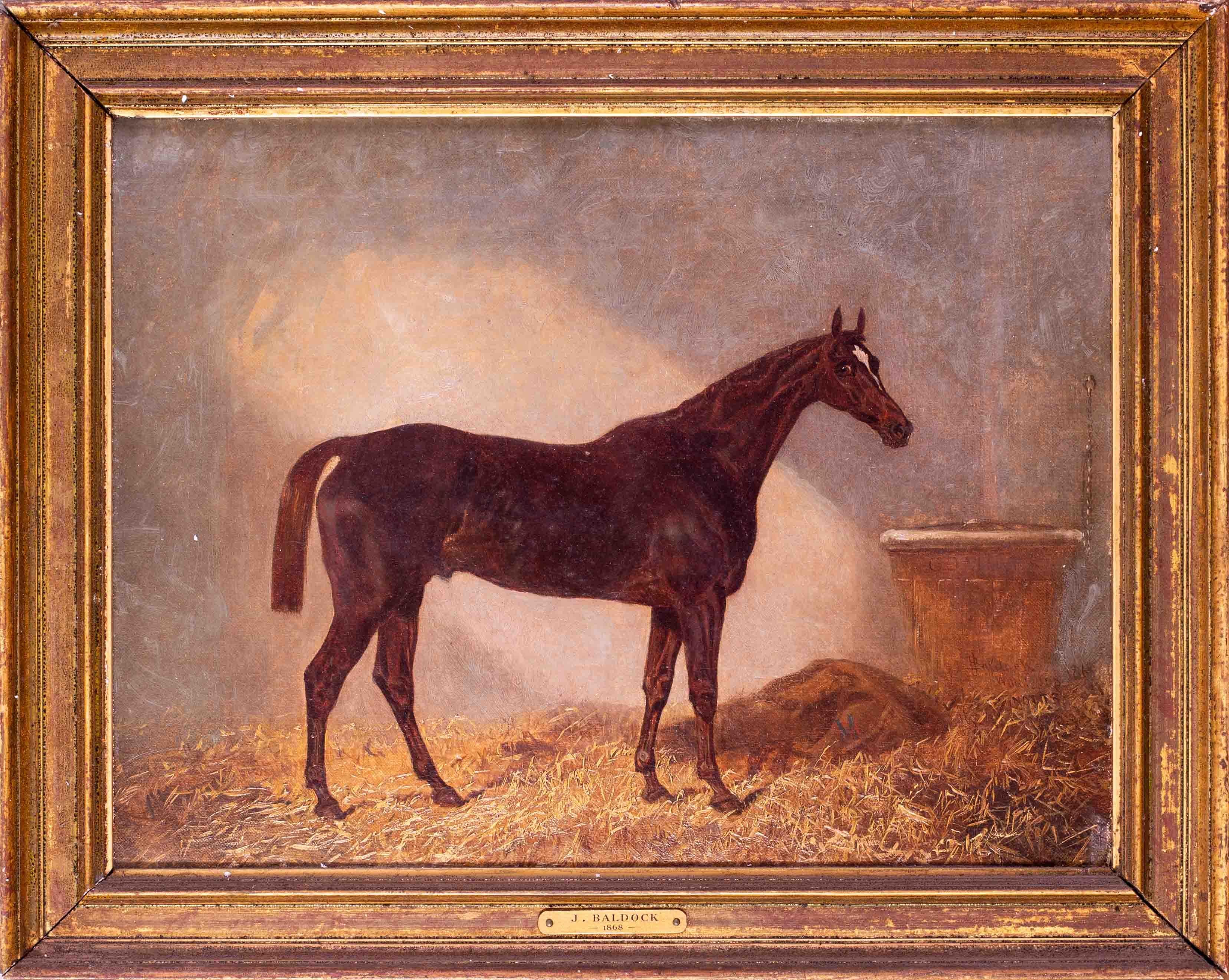 James Walsham Baldock Animal Painting - British 19th Century equestrian oil painting of Comus, racehorse winner