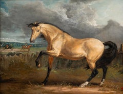 A stallion before a fence, huntsman beyond