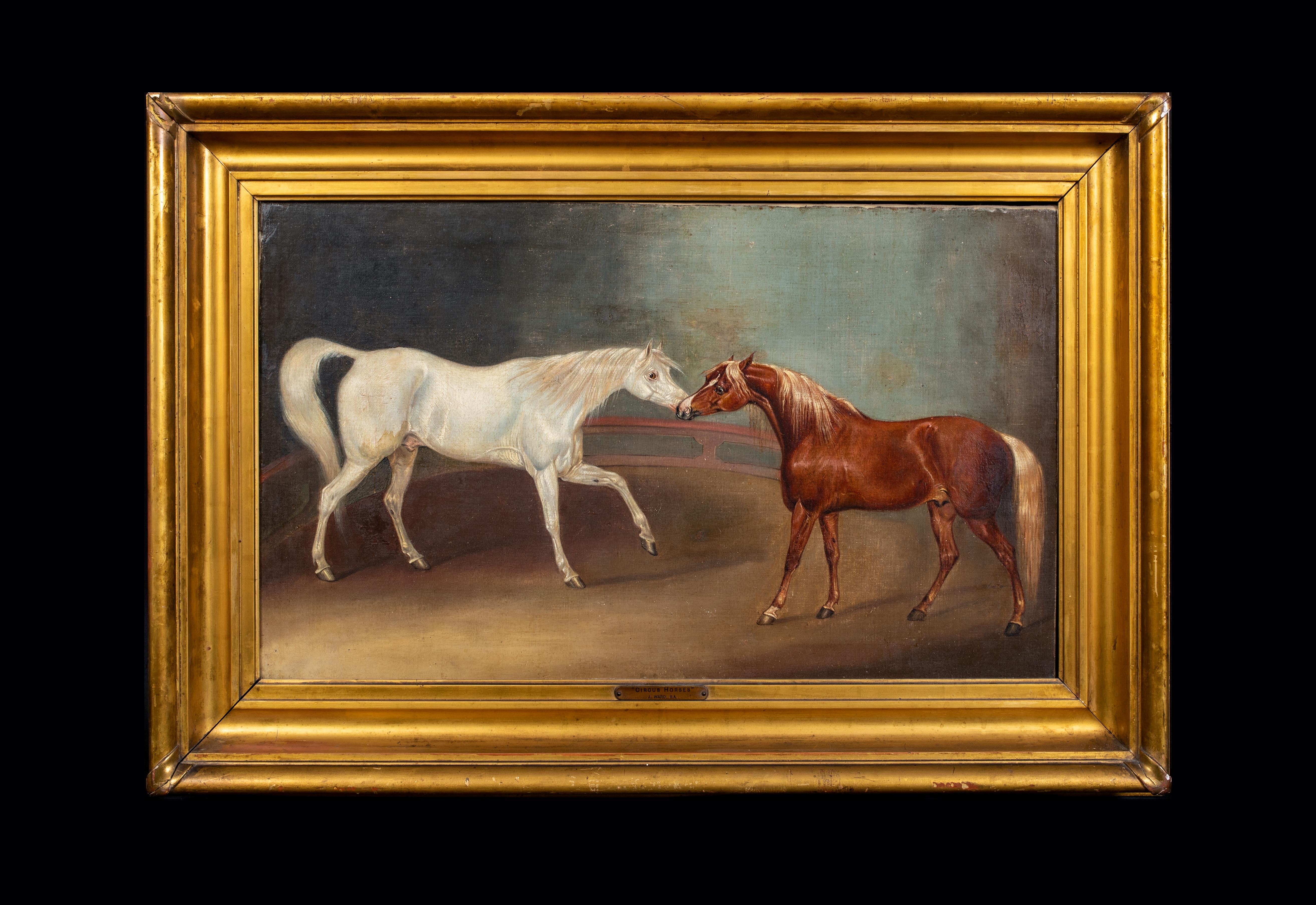 Circus Horses, 19th Century  by James WARD (1769-1859)  - Painting by James Ward
