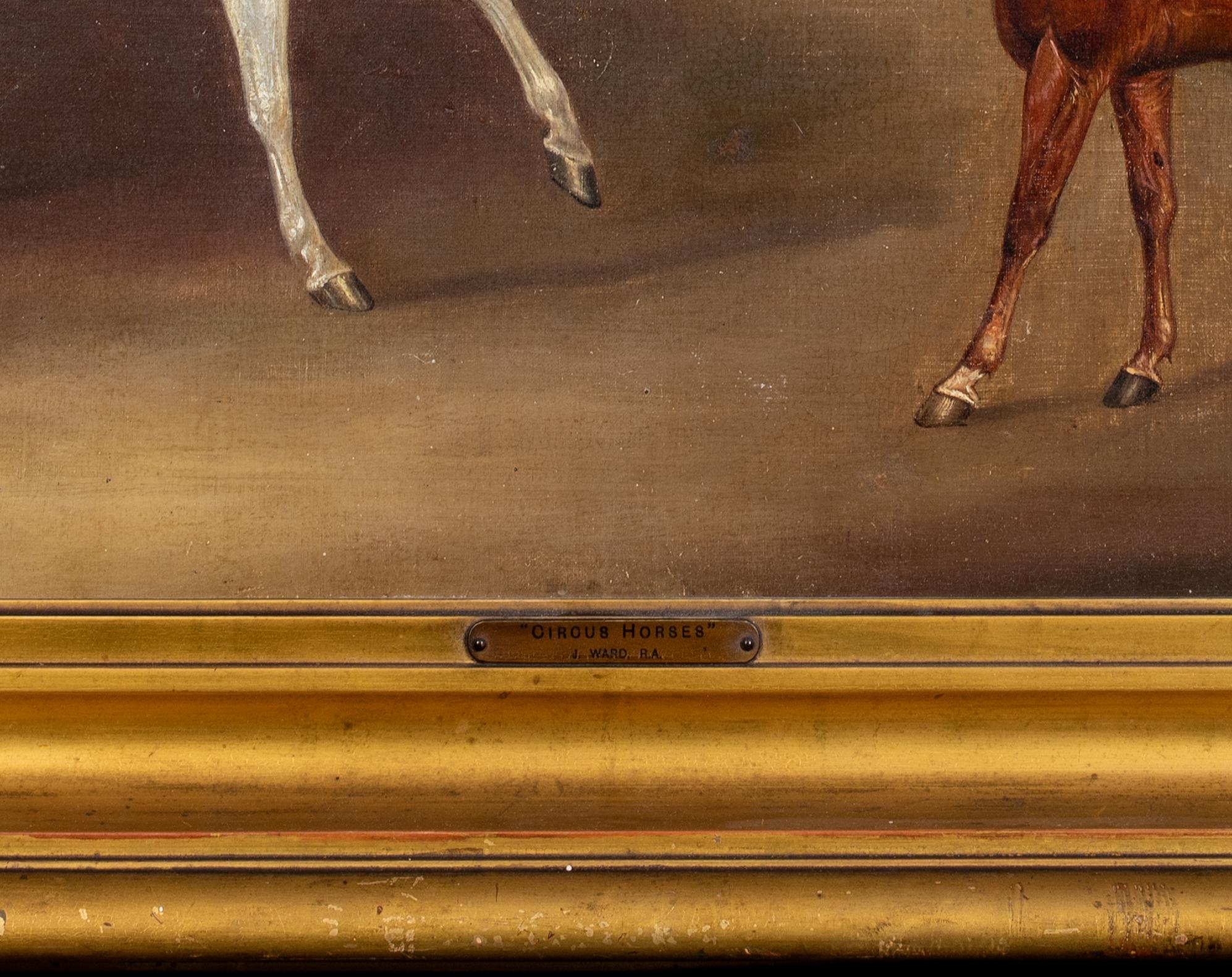 Circus Horses, 19th Century  by James WARD (1769-1859)  - Brown Portrait Painting by James Ward