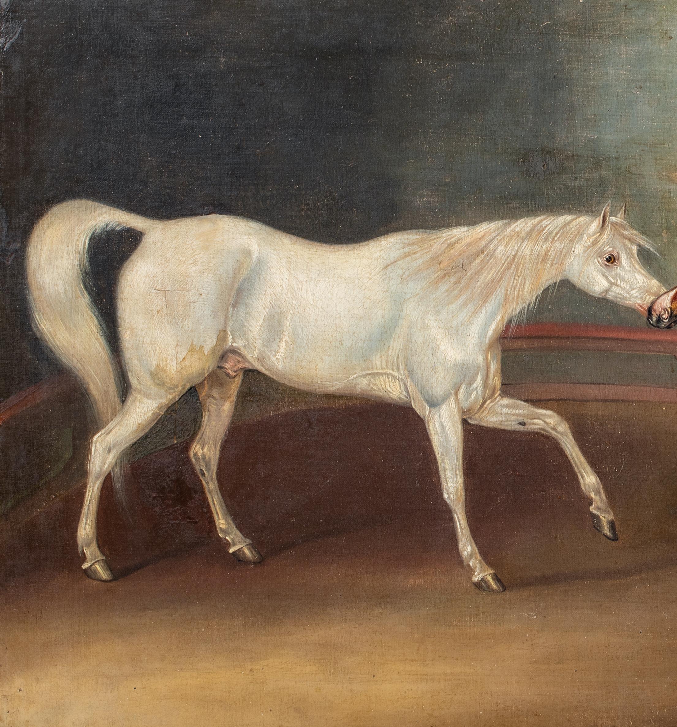 Circus Horses, 19th Century

by James WARD (1769-1859) sales to $775,000

Large 19th Century English portrait of two circus horses in a ring, oil on canvas by James Ward. Excellent quality and condition example of the famous equestrian artists work