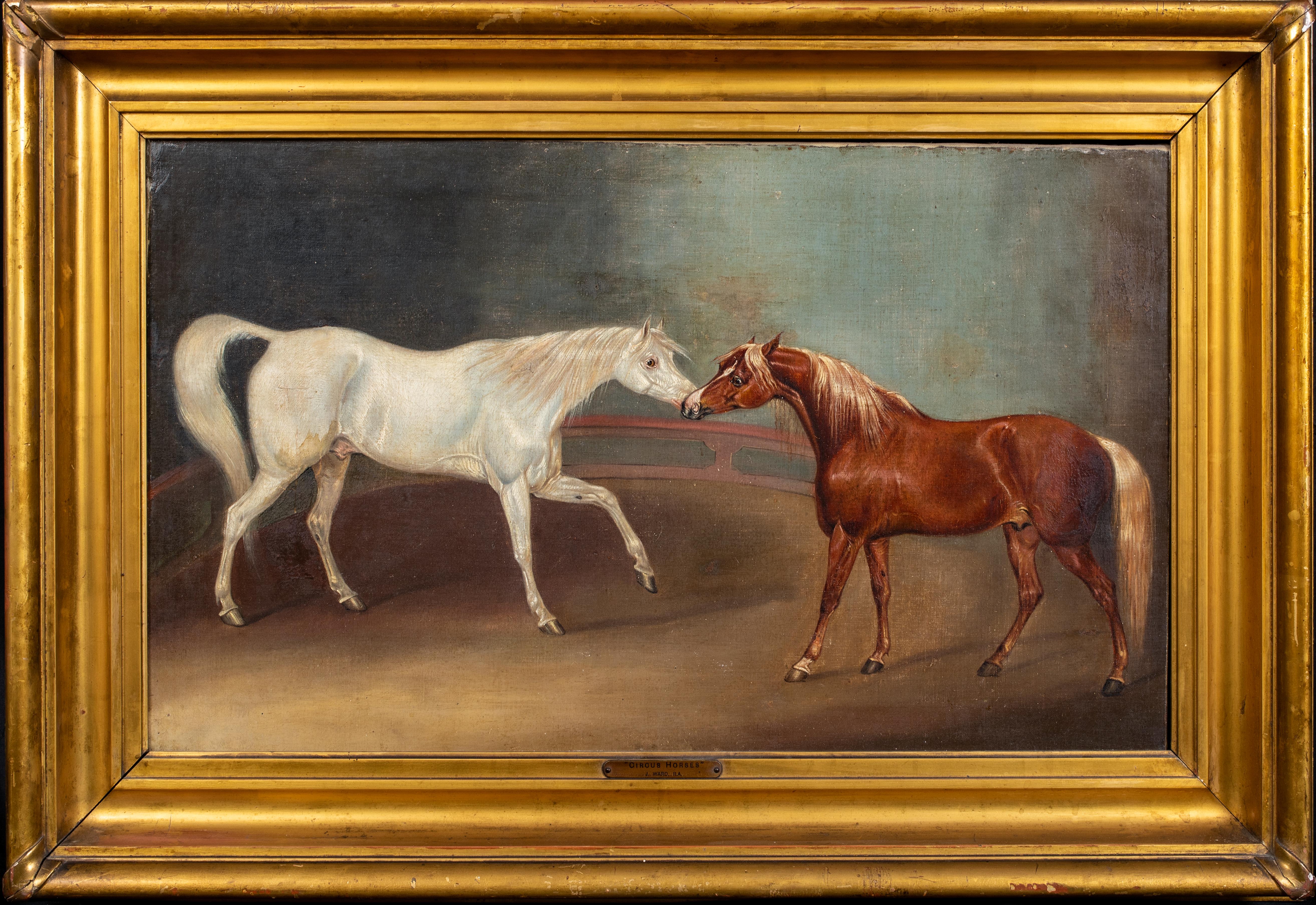 James Ward Portrait Painting - Circus Horses, 19th Century  by James WARD (1769-1859) 