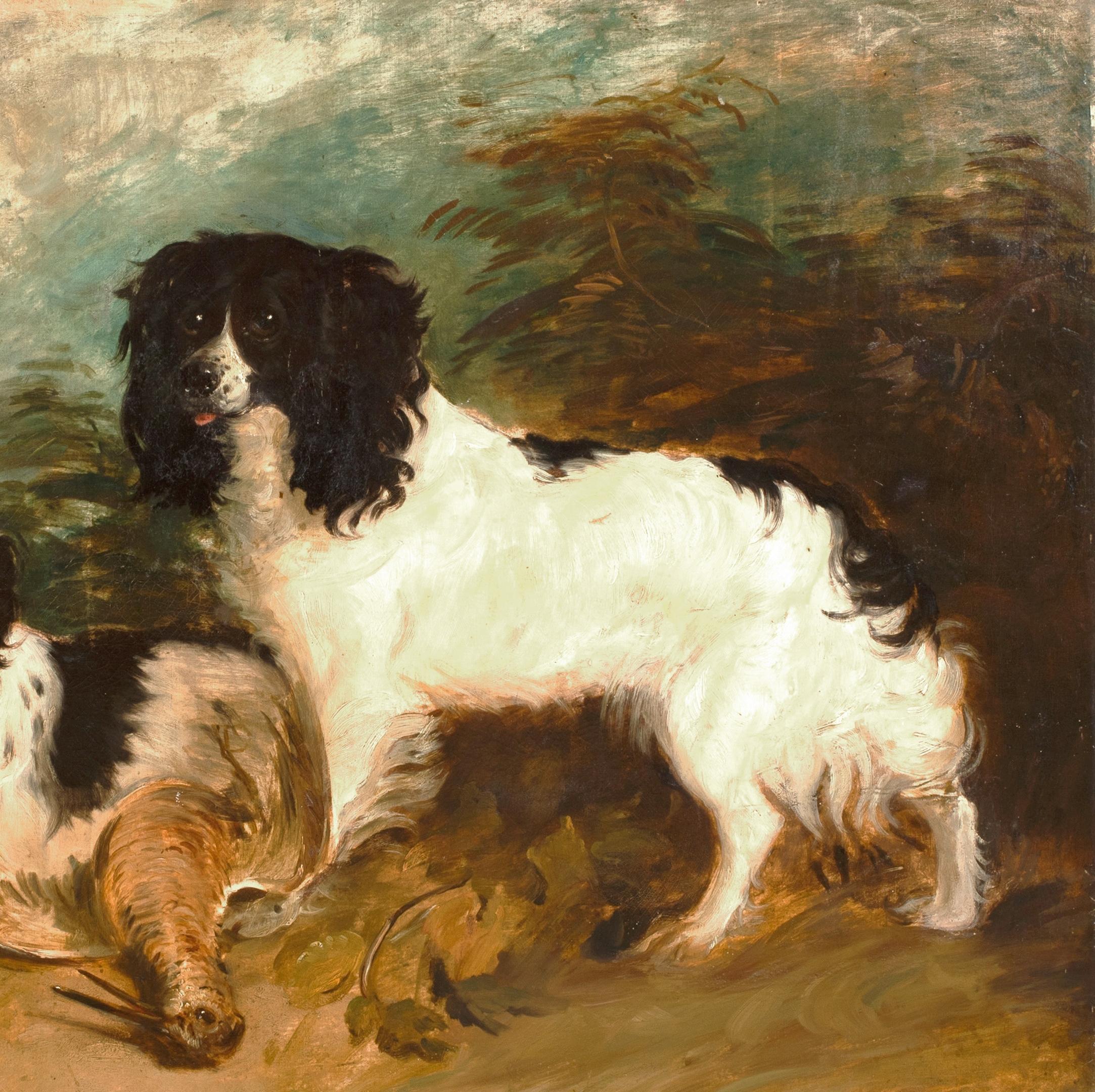 toy english springer spaniel