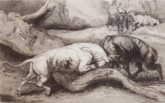 Tierdrucke auf Papier