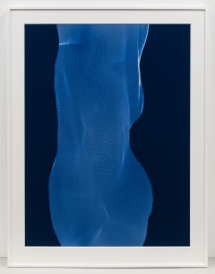 Torso 1-18, Abstraktes Chromogenes Fotogramm von James Welling