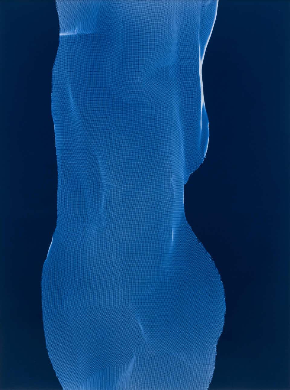 Torso 1-18, Abstract Chromogenic Photogram by James Welling