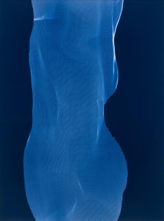 Torso 1-18, Fotograma cromogénico abstracto de James Welling