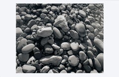 James Welling 'Ellwood Beach 25' 2011- Giclée- Firmato