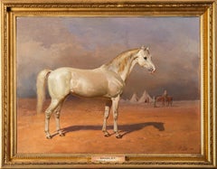 The Arab Stallion 'Kahalet' (L'étalon arabe 'Kahalet')