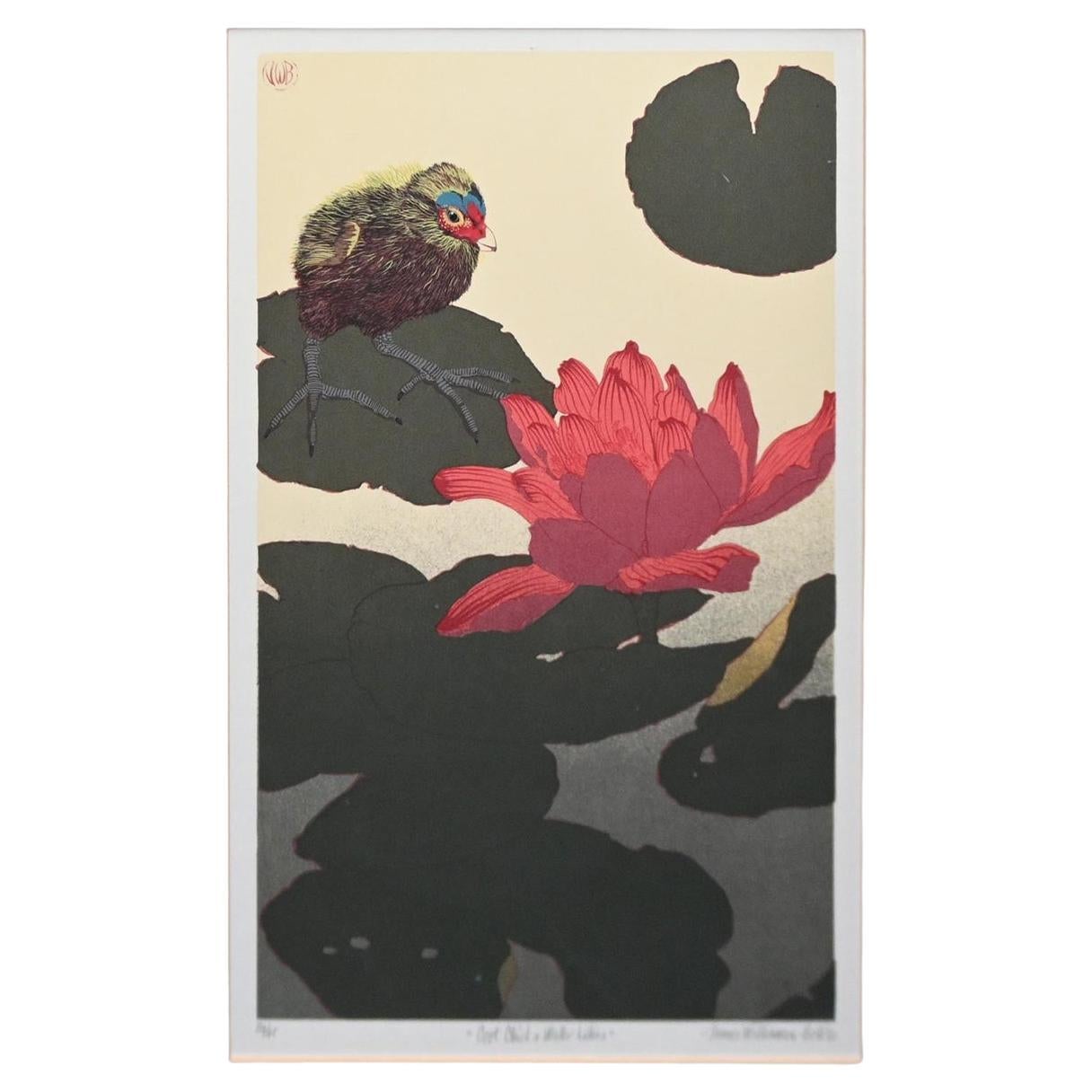 James Williamson Bell (English), Coot Chick and Water Lillies, Woodblock, C1980 For Sale