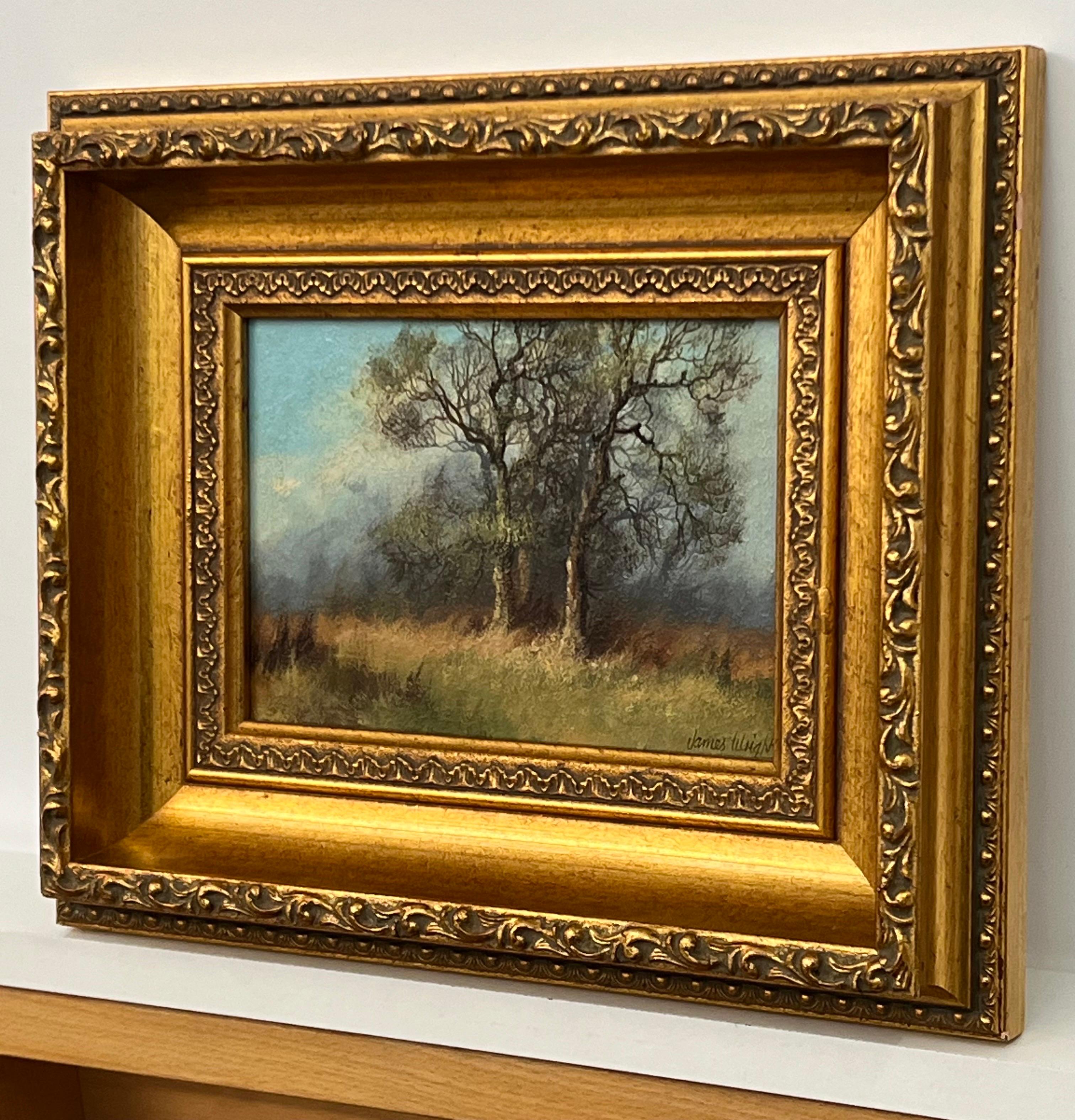 Étude des arbres et des champs dans la campagne anglaise par l'artiste paysagiste britannique du XXe siècle, James Wright

Huile sur toile originale signée, présentée dans un magnifique cadre doré orné.
Provenance : Fait partie de la série no 429 du