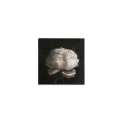 Blume