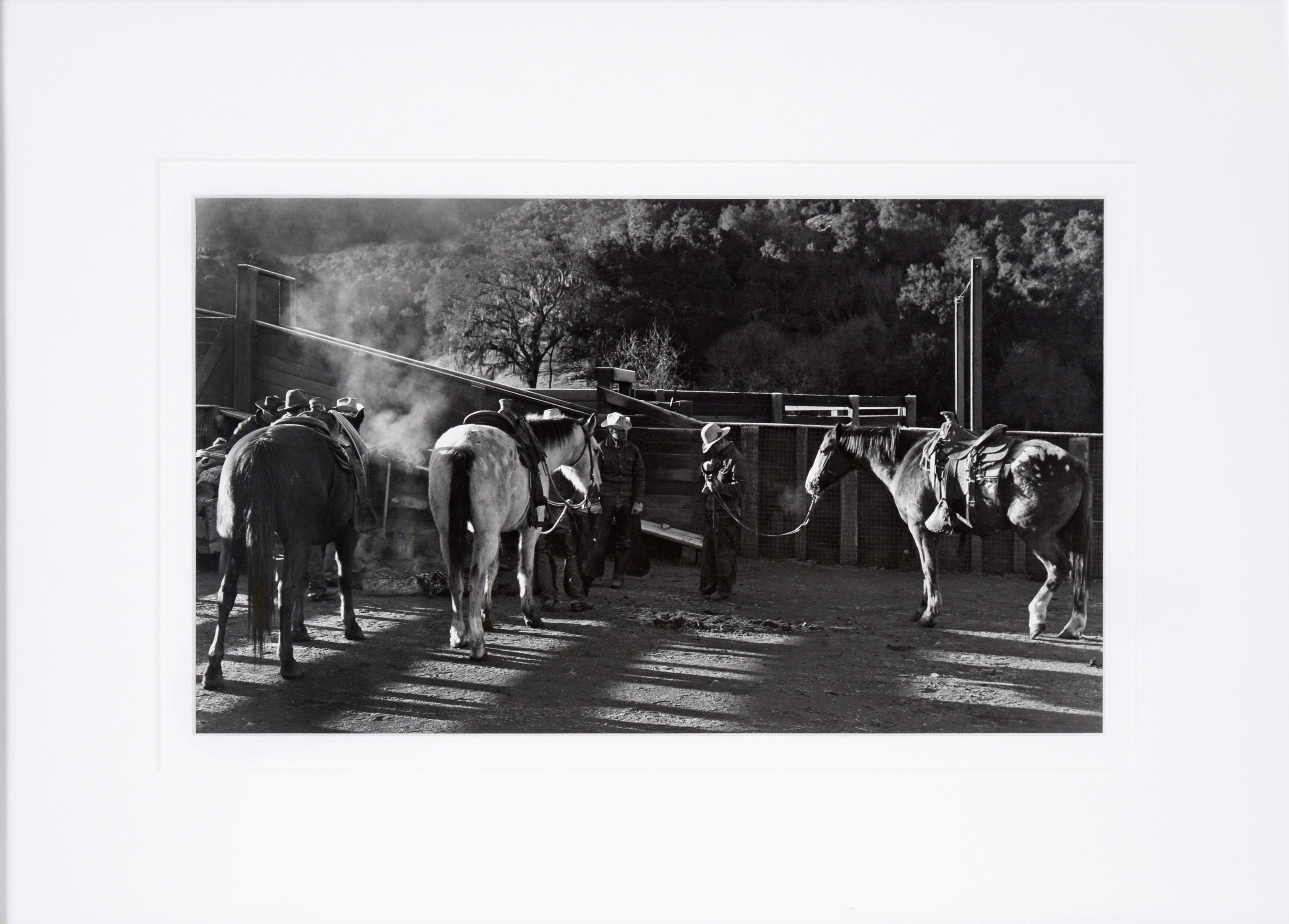 Rancho San Carlos Cattle Ranch, 1950's Photograph

1950's photograph of the San Carlos Cattle Ranch located south of Carmel Valley, California by James Ziegler (American). The ranch was owned by Arthur C Oppenheimer and shows cowboys and three