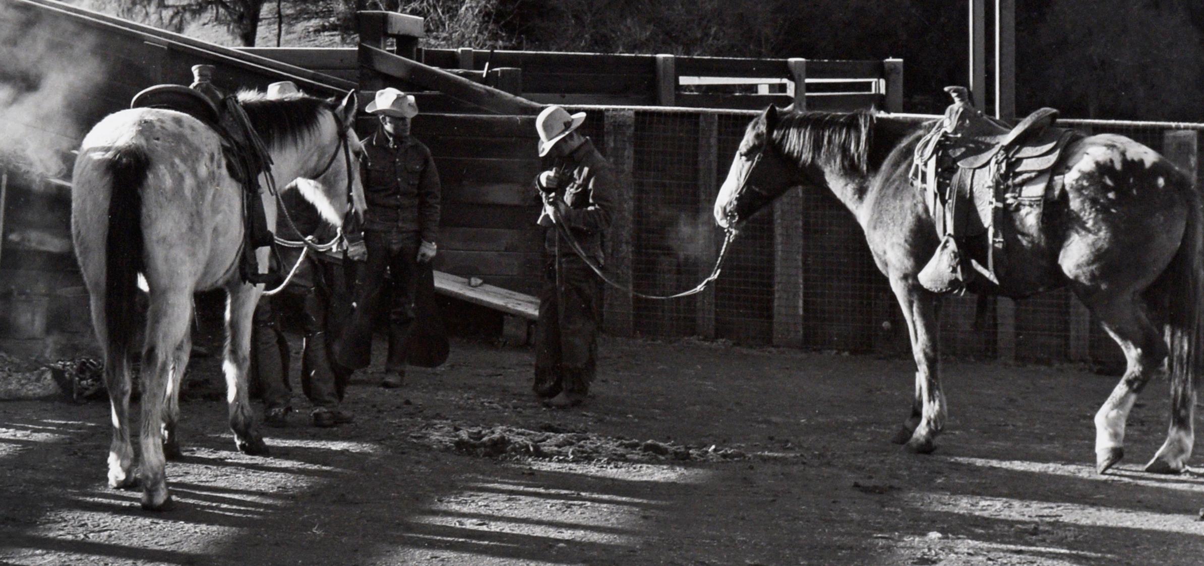 Ranch Hands Oppenheimer - Rancho San Carlos Cattle Ranch, 1950's Photograph For Sale 2