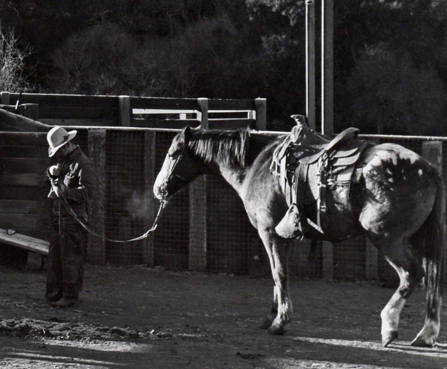 Ranch Hands Oppenheimer - Rancho San Carlos Cattle Ranch, 1950's Photograph For Sale 3