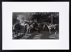 Ranch Hands Oppenheimer - Rancho San Carlos Cattle Ranch, 1950's Photograph