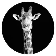 «Oh, hola» (Jirafa)