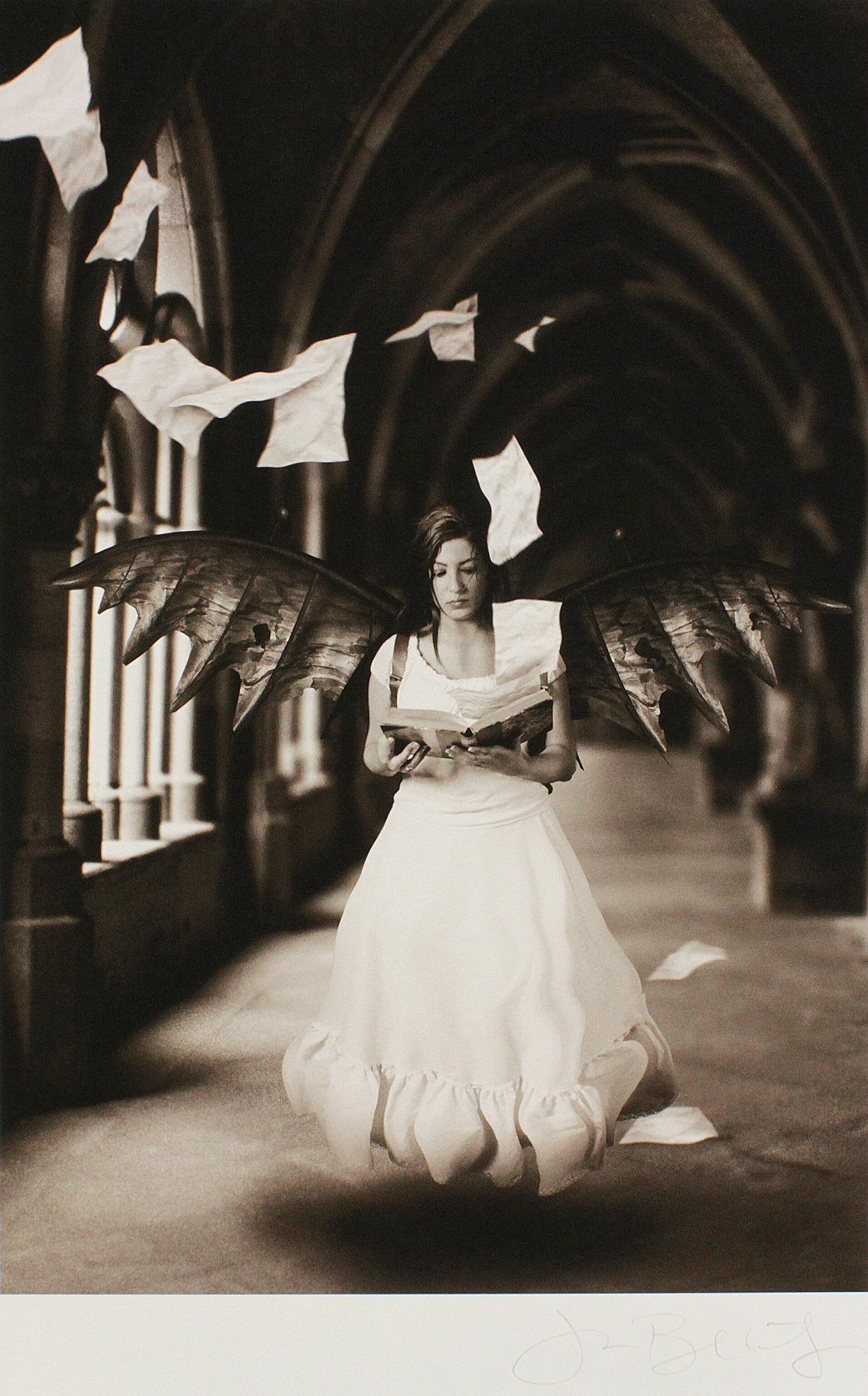 Jamie BALDRIDGE. The Everywhere Chronicles. 21e édition limitée signée, 2009 en vente 2