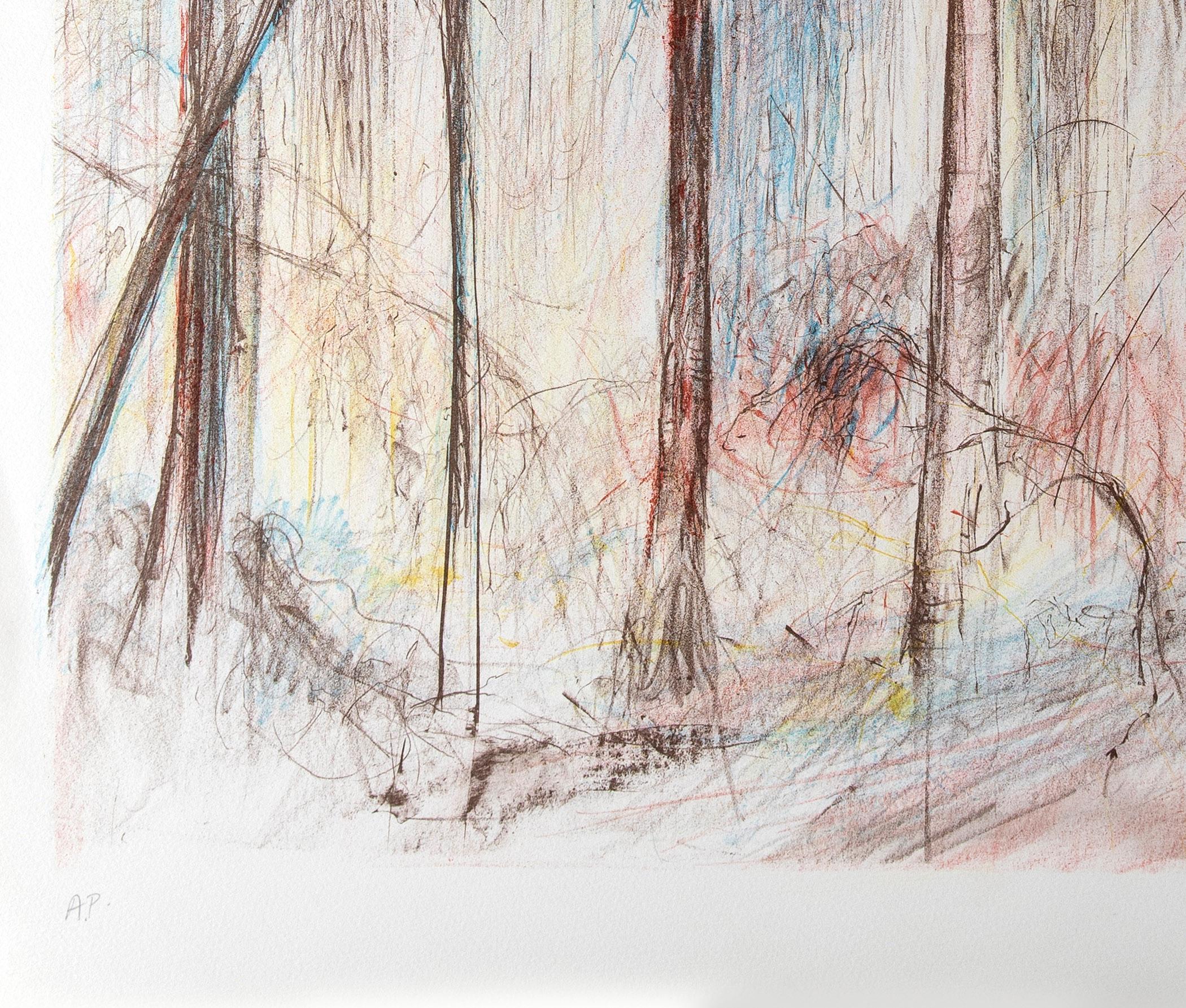Hohe Bäume – Print von Jamie Boyd