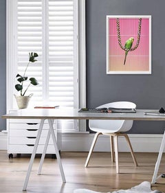 Budgie on Swing