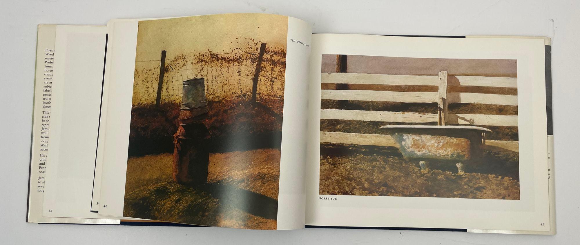 Jamie Wyeth by Jamie Wyeth Hardcover Book 1980 1st Ed. For Sale 2