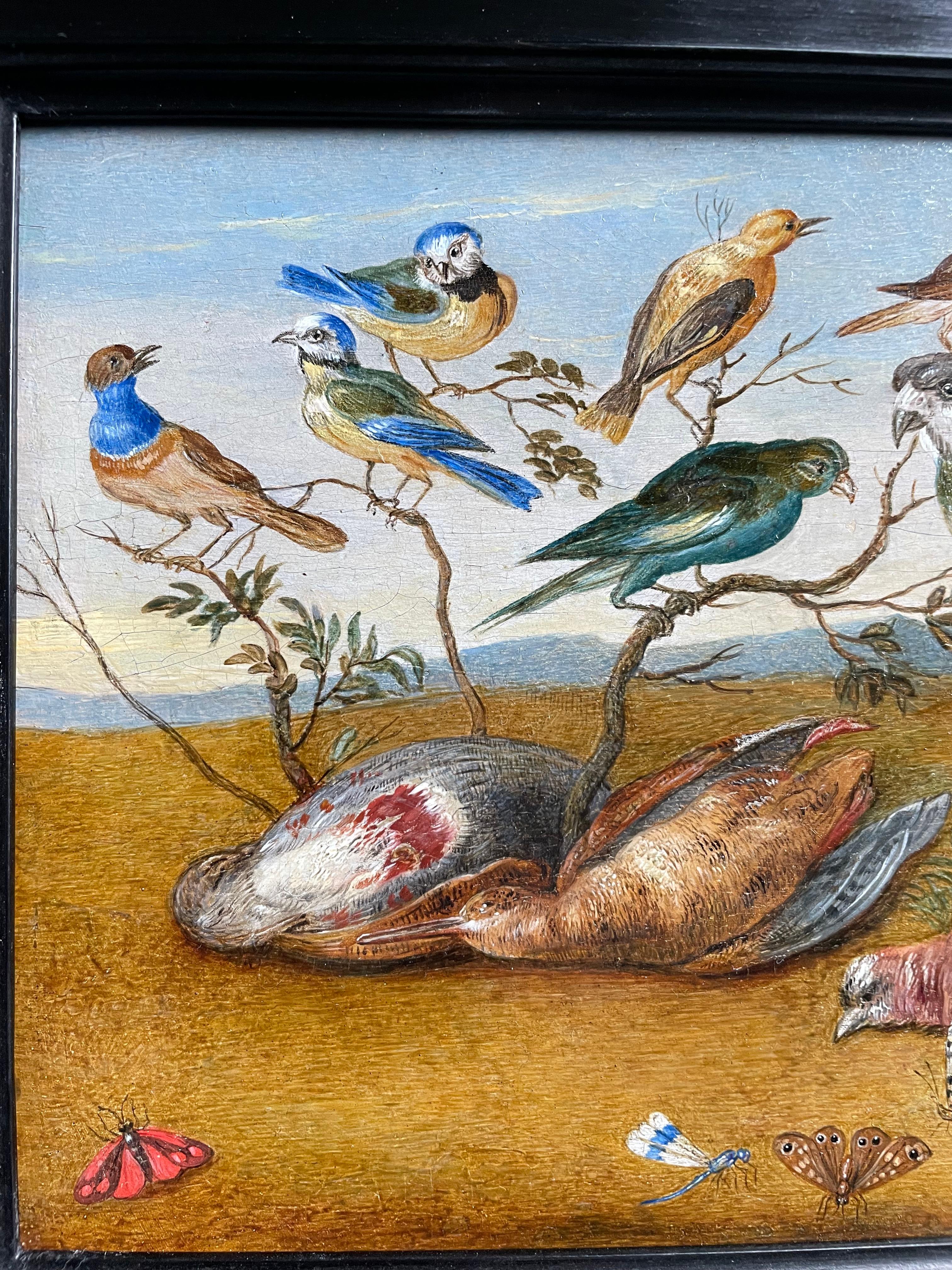 Un concert d'oiseaux 1