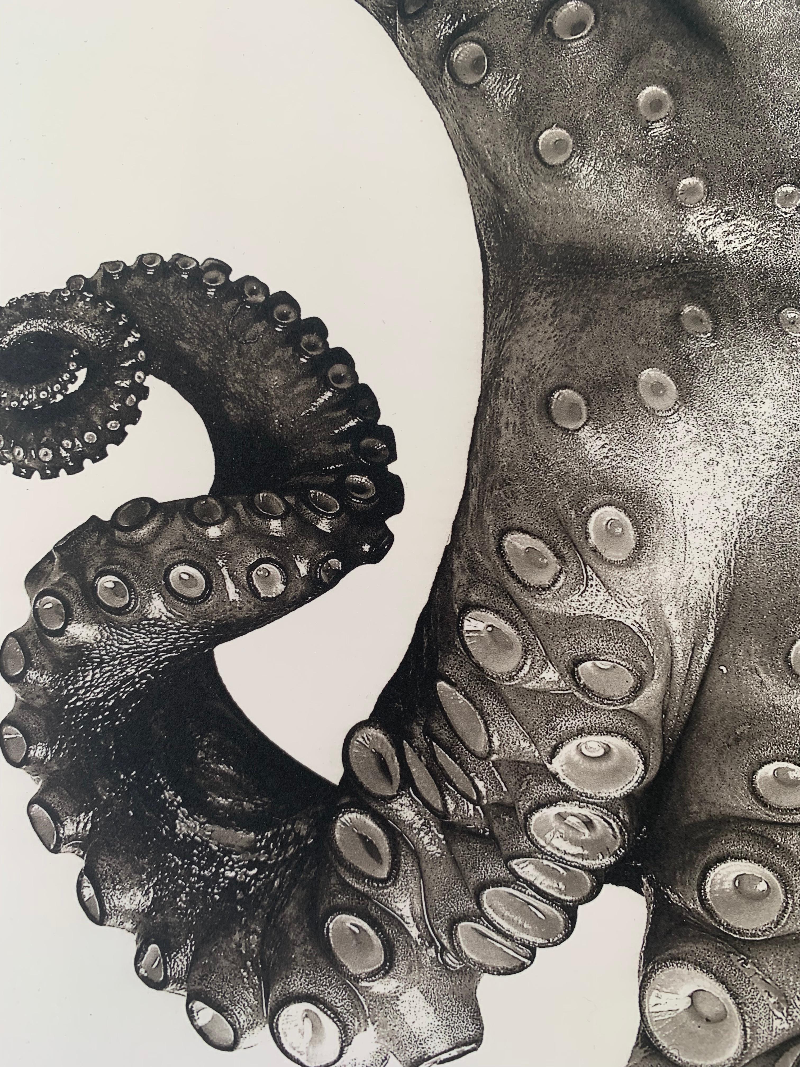 Octopus Vulgaris (édition spéciale) - Contemporain Photograph par Jan C. Schlegel