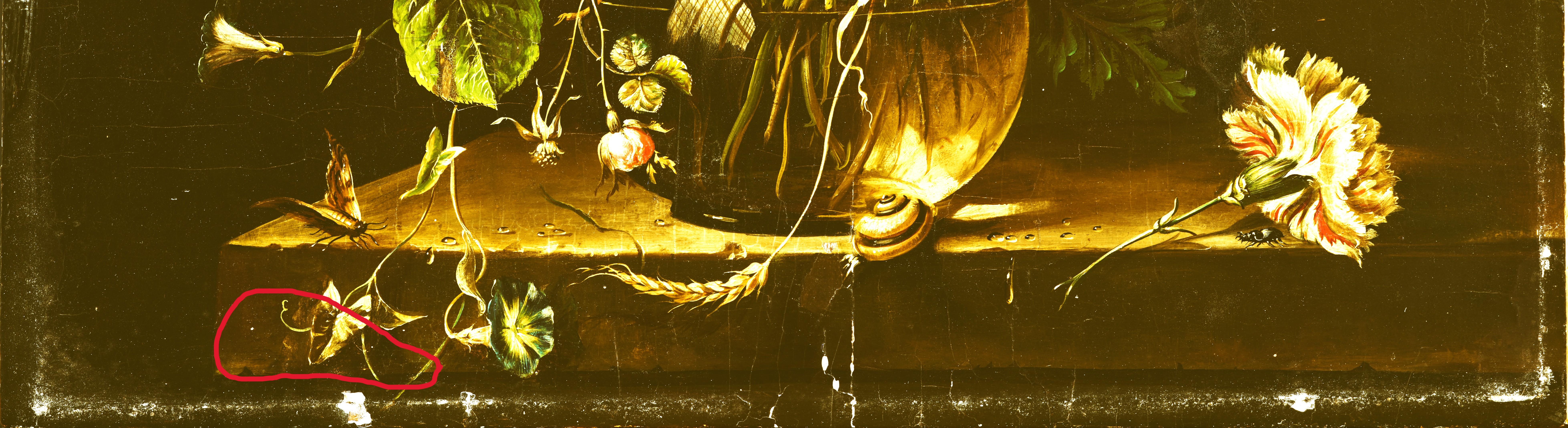 Still Life For Sale 14