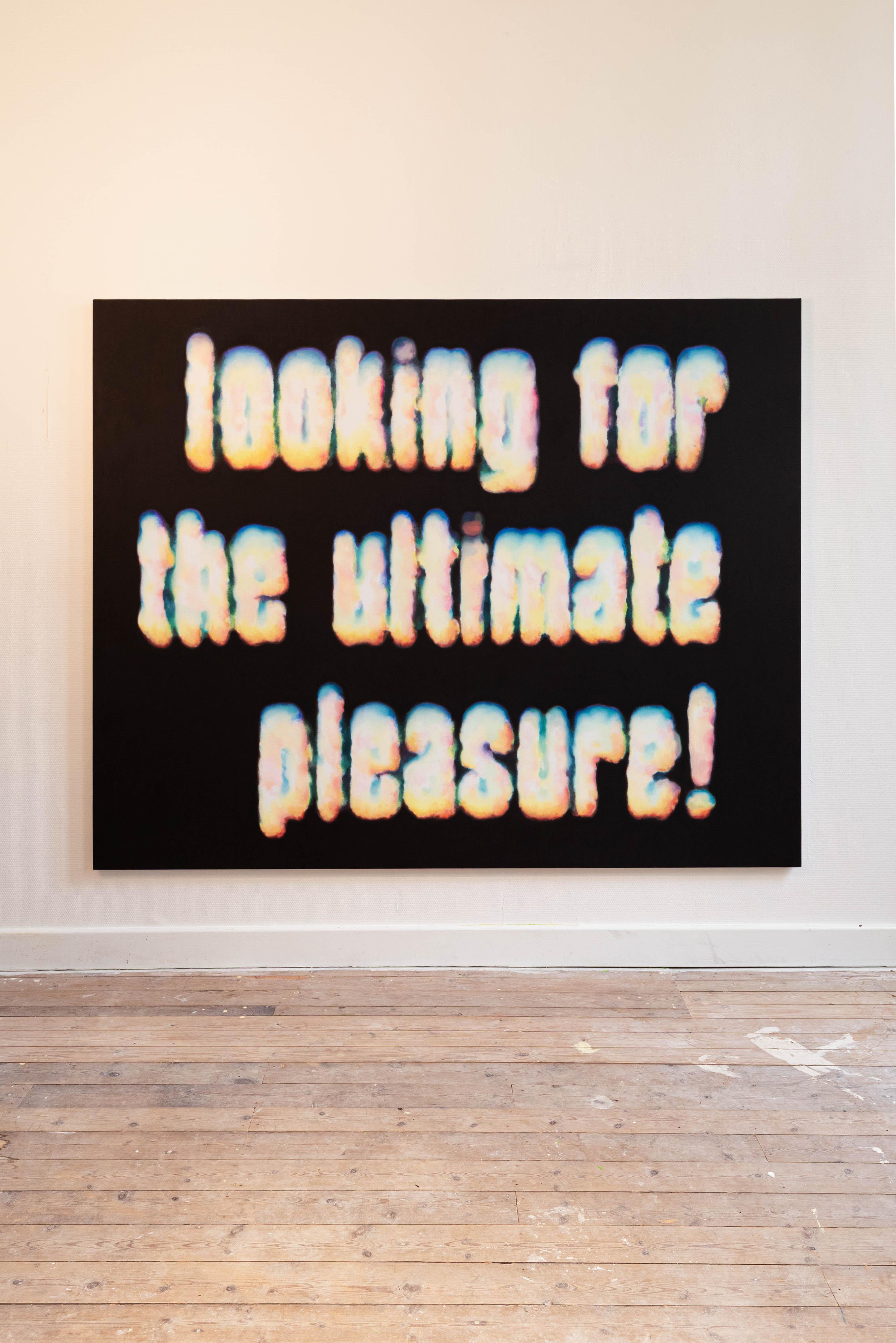Jan De Lauré Abstract Painting - XXXL painting called 'Looking for the ultimate pleasure'